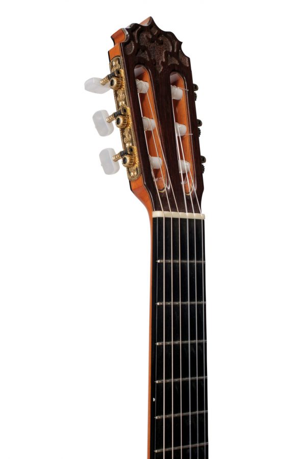 2013 Vilaplana NT Head