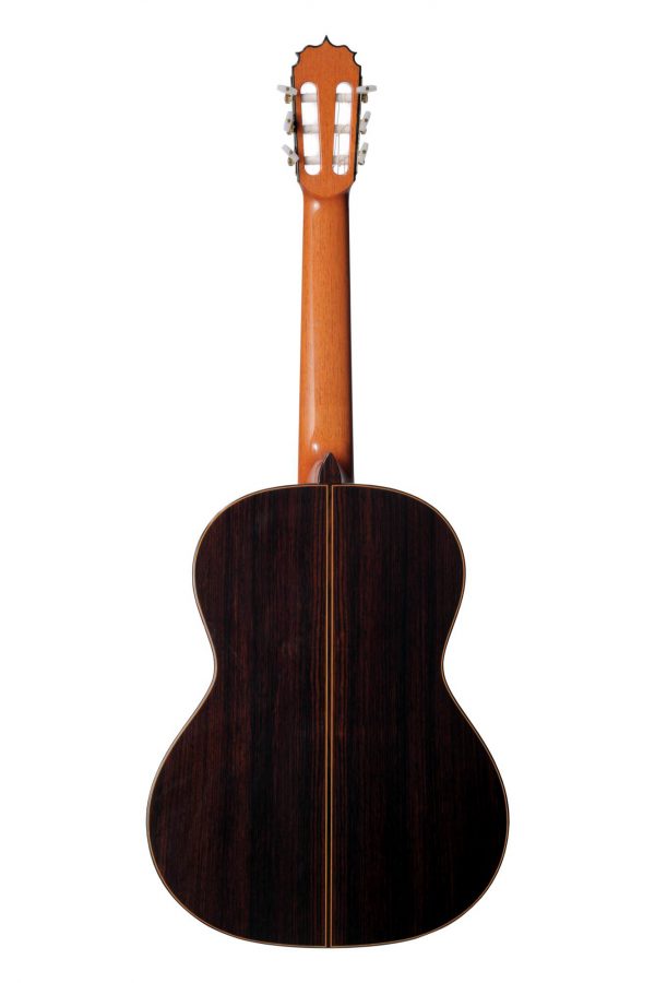 2013 Vilaplana NT Rear